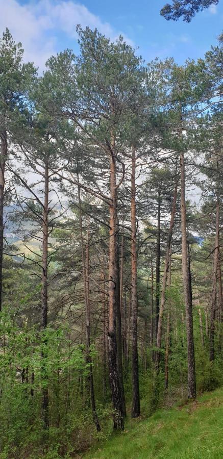 Casa Castel Turismo Rural Serrate エクステリア 写真